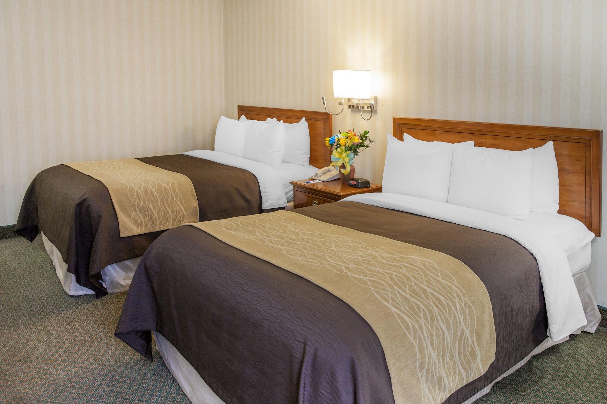 Comfort Inn Pentagon City Arlington Extérieur photo